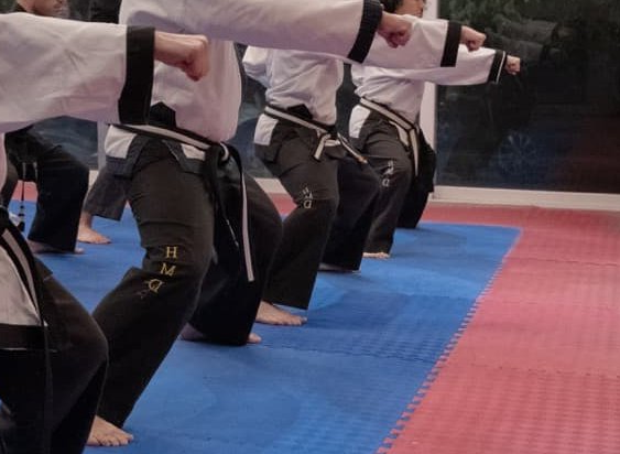 Hwal Moo Do training