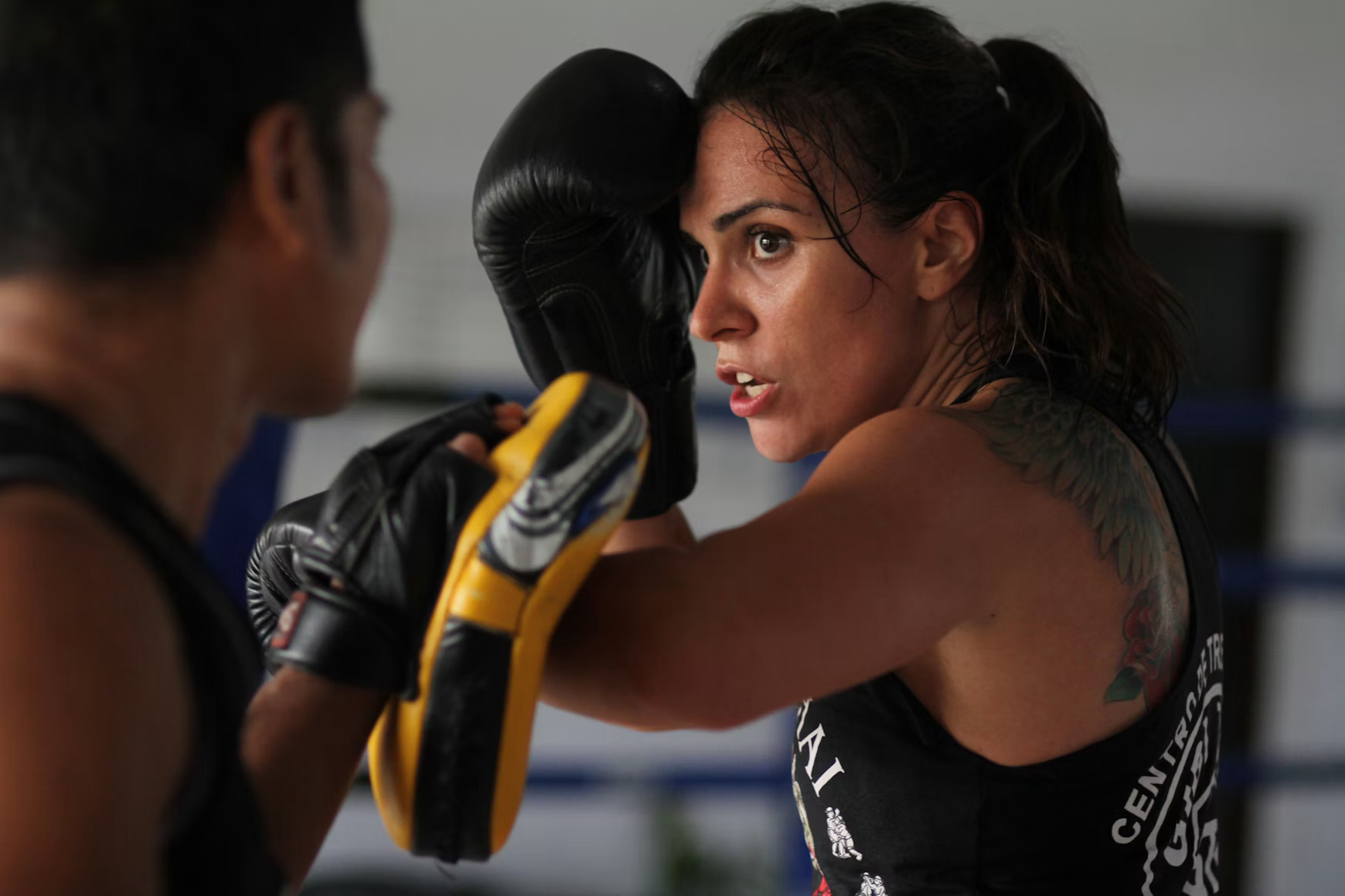 Kickboxing pads
